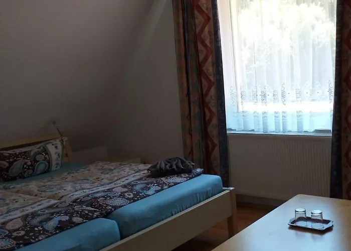 U Stoly Pensionat Jáchymov
