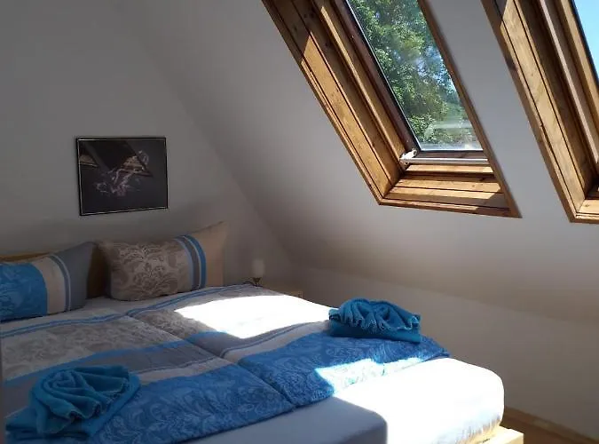 U Stoly 招待所 亚希莫夫