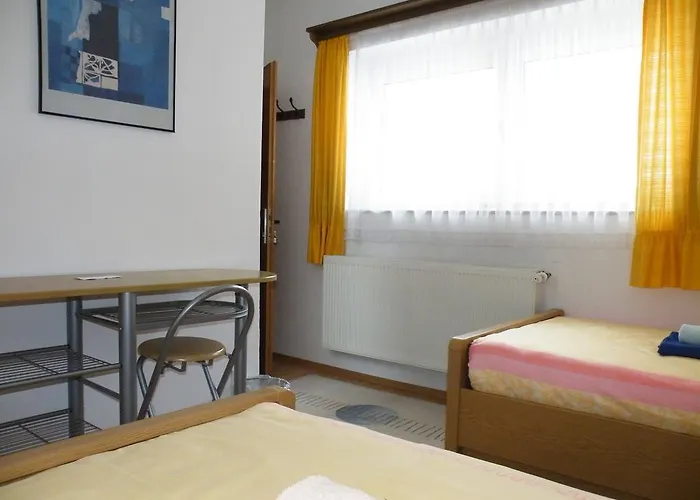 招待所 U Stoly 3*