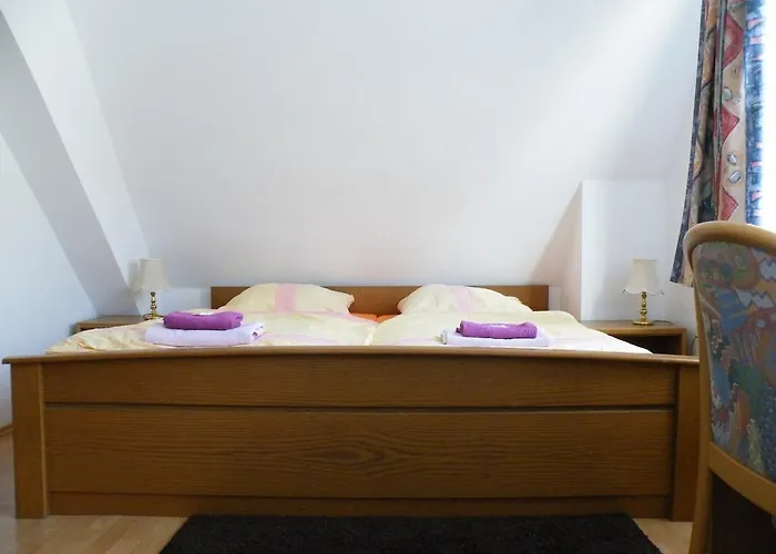 招待所 U Stoly 3*