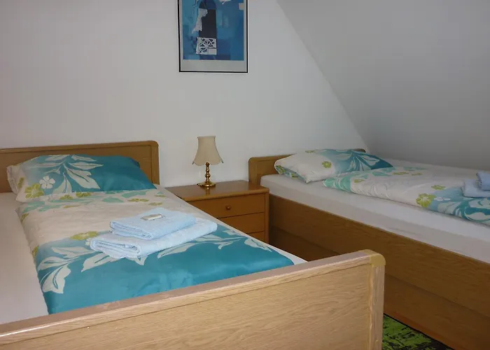 招待所 U Stoly 3*